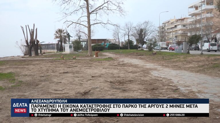 vlcsnap 2026 03 06 10h38m10s219