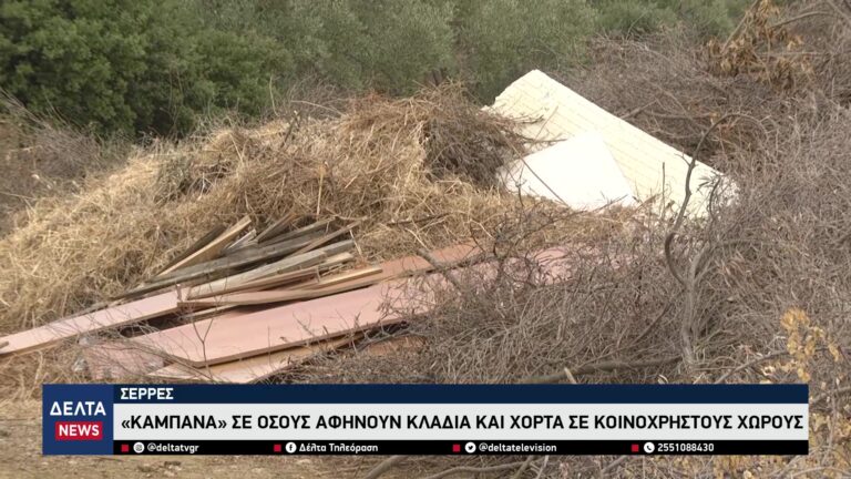 vlcsnap 2026 03 16 10h12m34s208