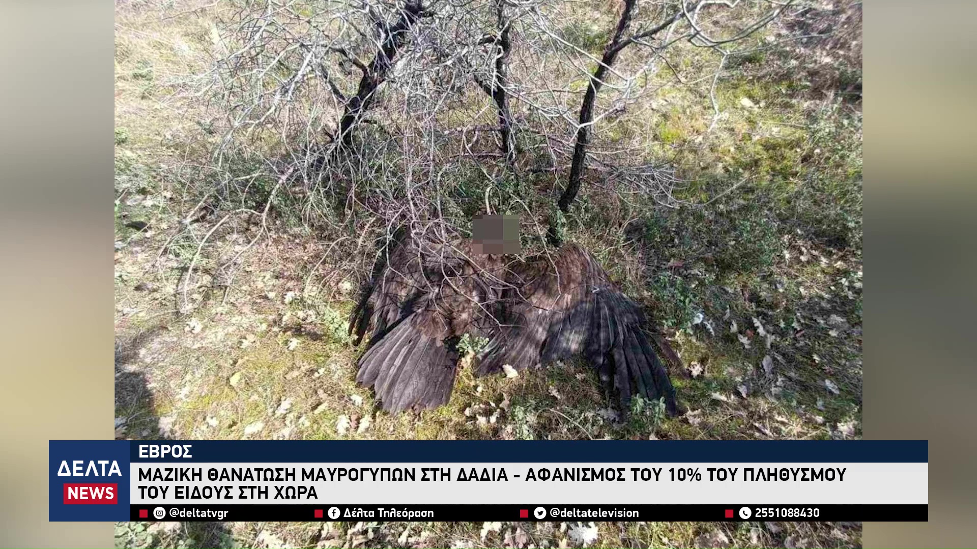 vlcsnap 2026 03 18 10h38m05s811