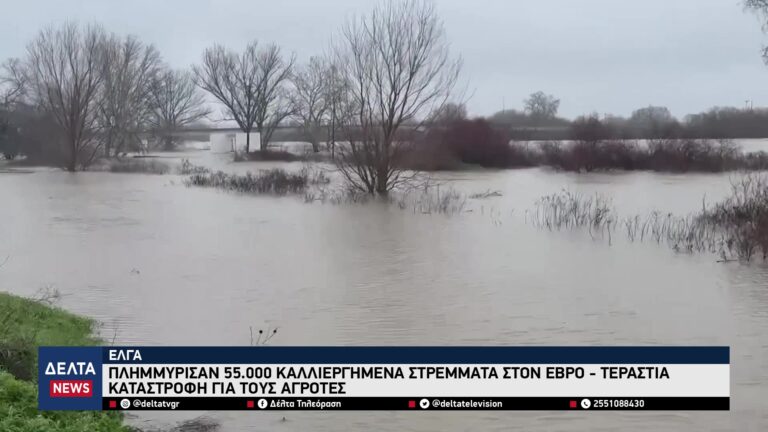 vlcsnap 2026 03 19 10h24m23s850