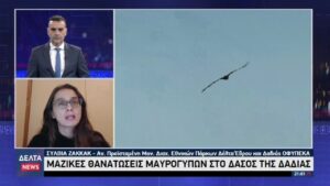 vlcsnap 2026 03 19 11h14m40s254