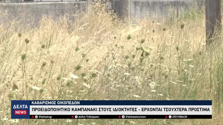 vlcsnap 2026 03 23 10h32m49s878