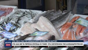 vlcsnap 2026 03 24 12h33m55s196