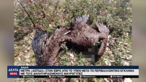 vlcsnap 2026 03 28 10h53m54s713