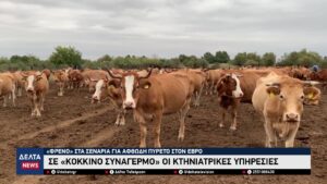 vlcsnap 2026 03 31 10h34m14s778