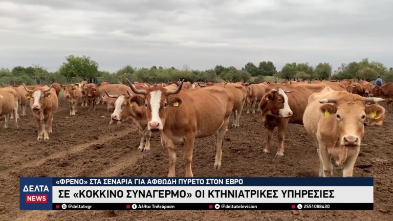 vlcsnap 2026 03 31 10h34m14s778