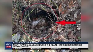 vlcsnap 2026 04 06 09h58m30s695