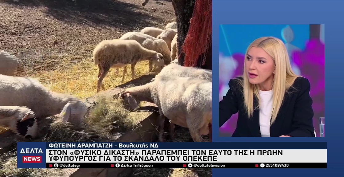 vlcsnap 2026 04 10 10h48m37s679