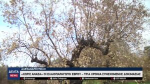 vlcsnap 2026 04 14 10h12m44s320