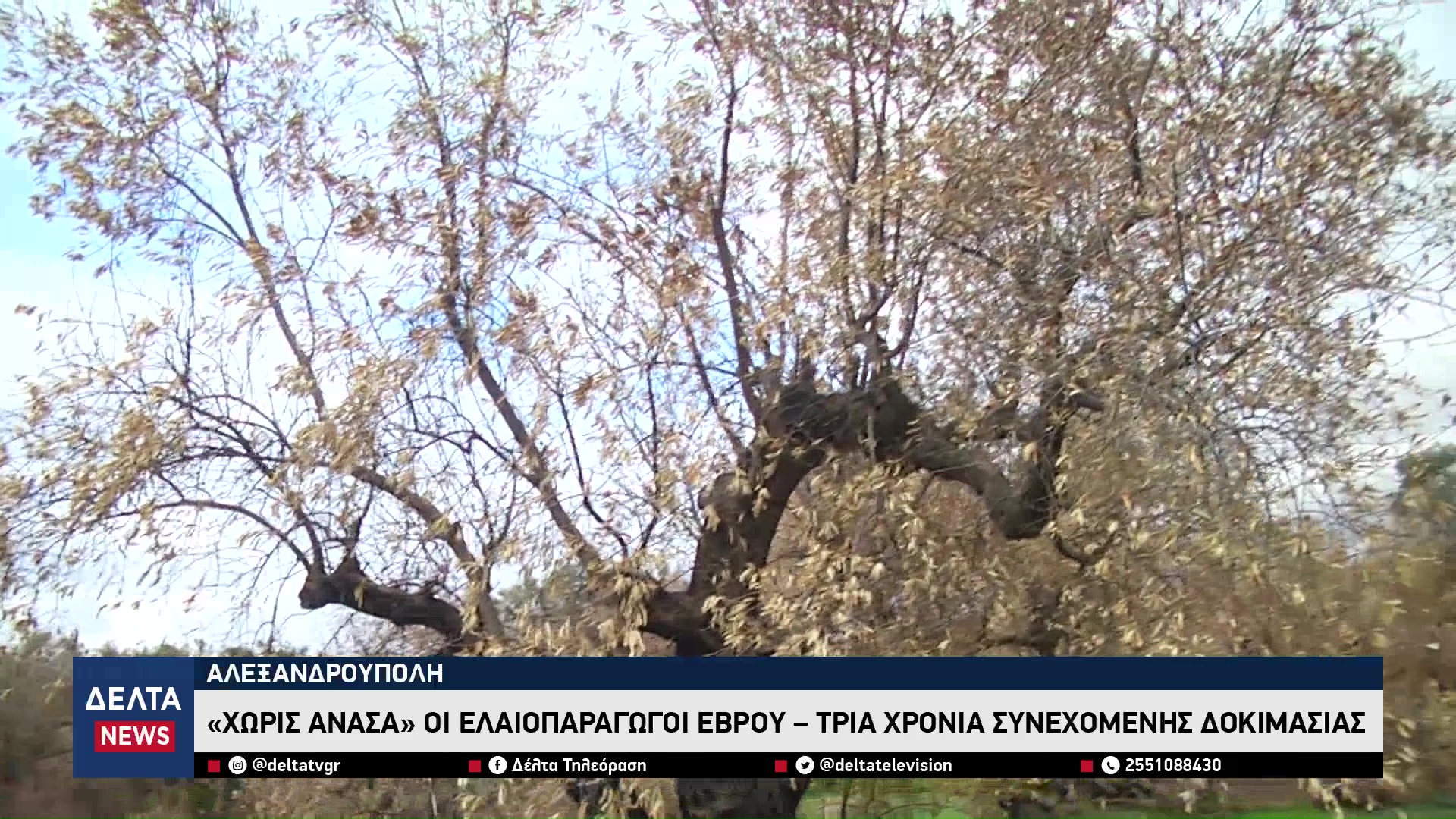 vlcsnap 2026 04 14 10h12m44s320