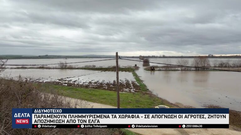 vlcsnap 2026 04 16 10h19m16s426