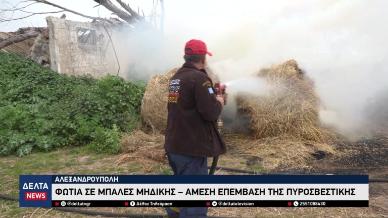 vlcsnap 2026 04 16 10h26m33s797