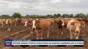 vlcsnap 2026 04 17 10h01m04s140