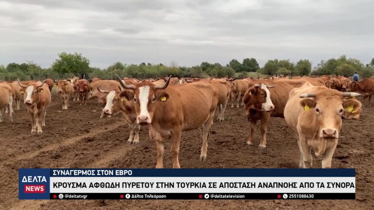 vlcsnap 2026 04 17 10h01m04s140