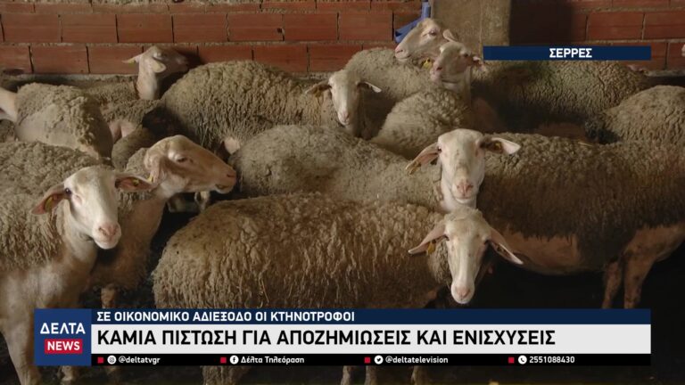 vlcsnap 2026 04 20 10h48m31s046