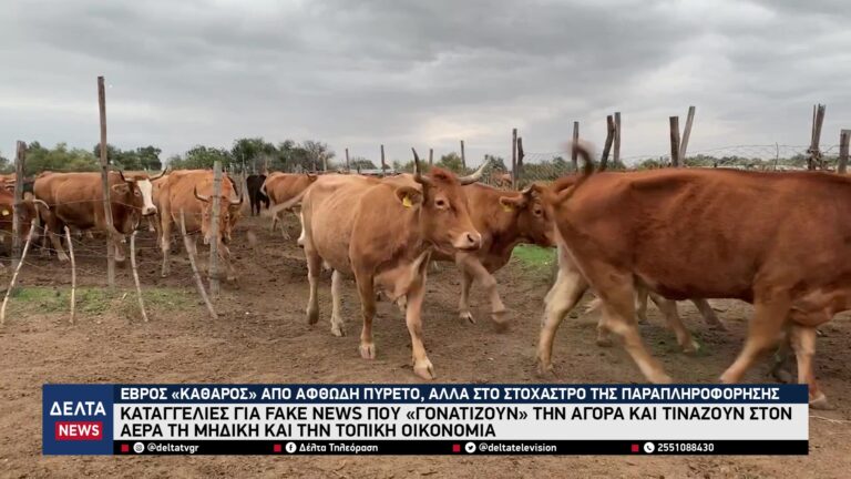 vlcsnap 2026 04 21 10h17m20s654