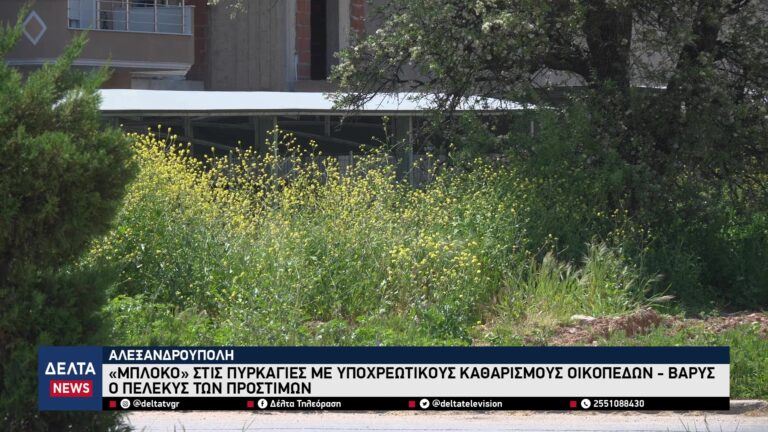 vlcsnap 2026 04 21 10h24m01s259