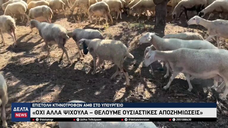 vlcsnap 2026 04 23 11h09m53s826