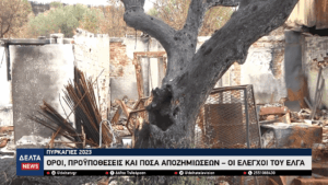 Όροι, προϋποθέσεις και ποσά αποζημιώσεων για τις πυρκαγιές του 2023 – Οι Έλεγχοι του ΕΛΓΑ 0 7 screenshot