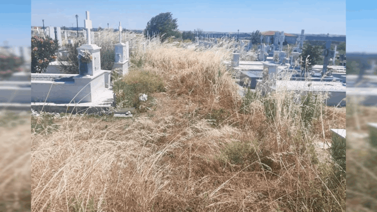 Χόρτα ξεπερνούν το 1,5 μέτρο στα νέα κοιμητήρια Ορεστιάδας Δύσκολη η πρόσβαση στους τάφους 0 4 screenshot