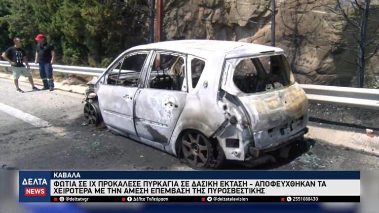 Καβάλα Φωτιά σε ΙΧ προκάλεσε πυρκαγιά σε δασική έκταση Αποφεύχθηκαν τα χειρότερα 0 34 screenshot